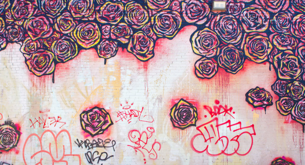 Your Guide to The Best Colorful Walls in Dallas Carrie Colbert